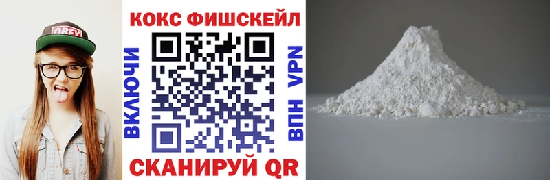 Кокаин Fish Scale  как найти закладки  Костомукша 